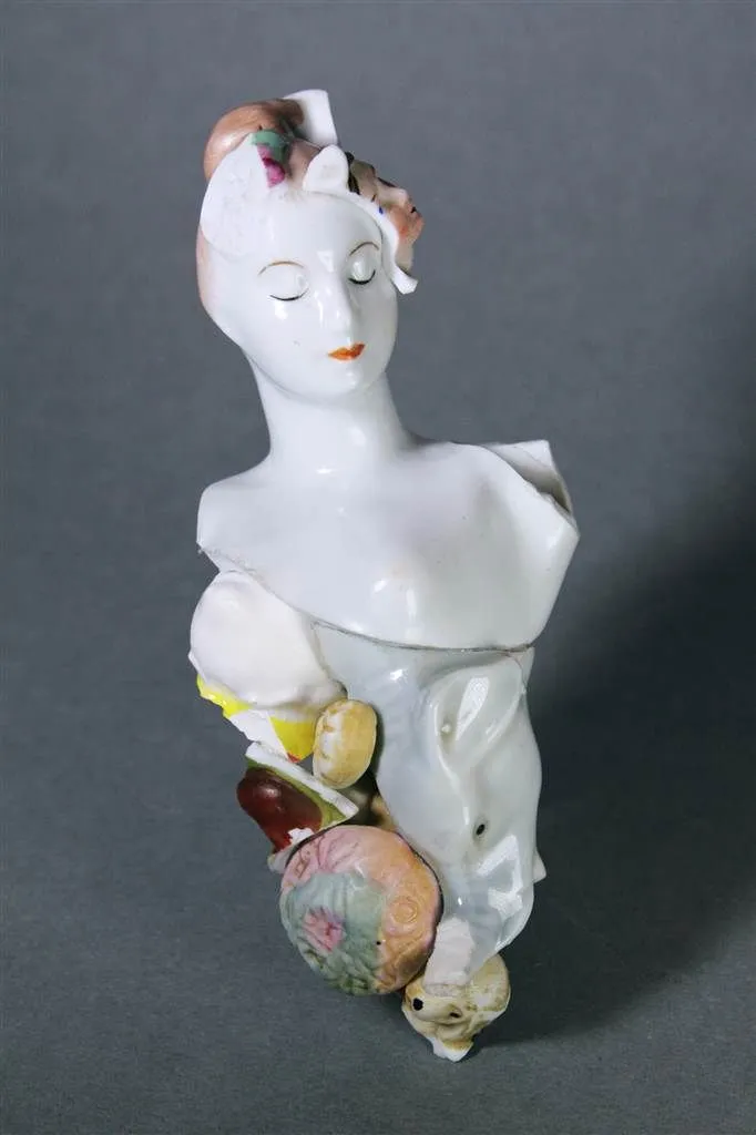 2012 Ernst Miesgang FEMALE ANATOMY