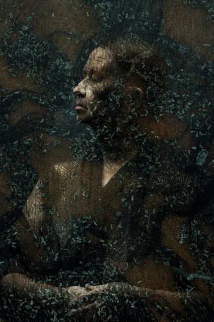 2014 Curtis Salonick- Untitled 2