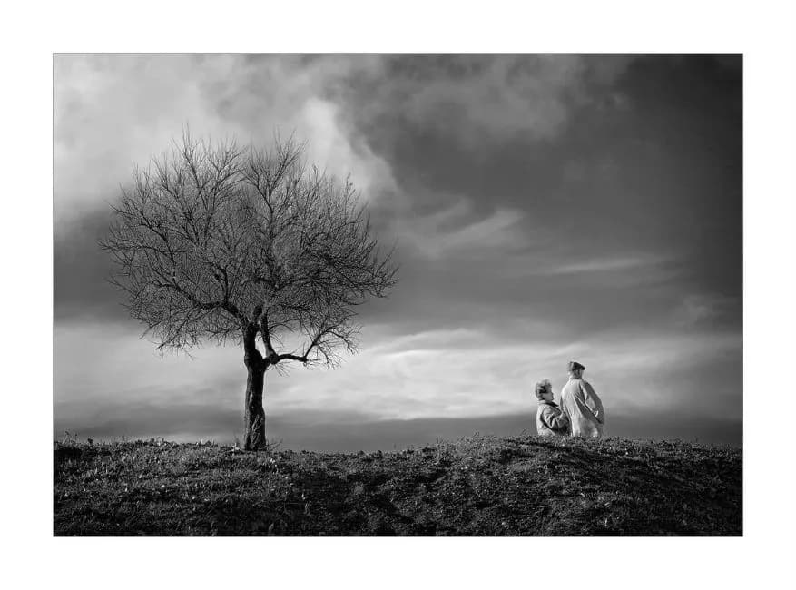 2015 Yvon Buchmann- Ingrained