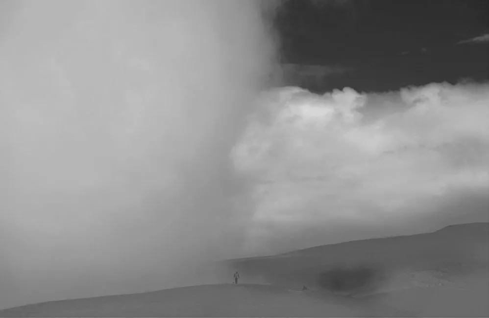 2017 Yoong Wah Alex Wong- In and Out of The Mist
