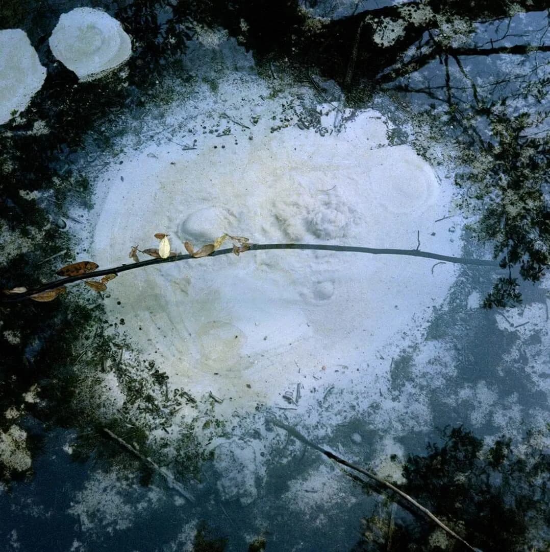 The 3rd Chelsea International Photography Competition