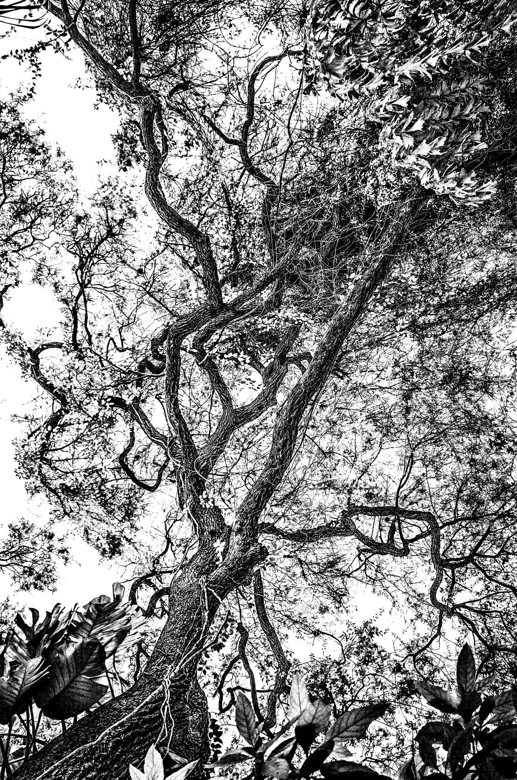 41_Eric Franklin_Infrared 5