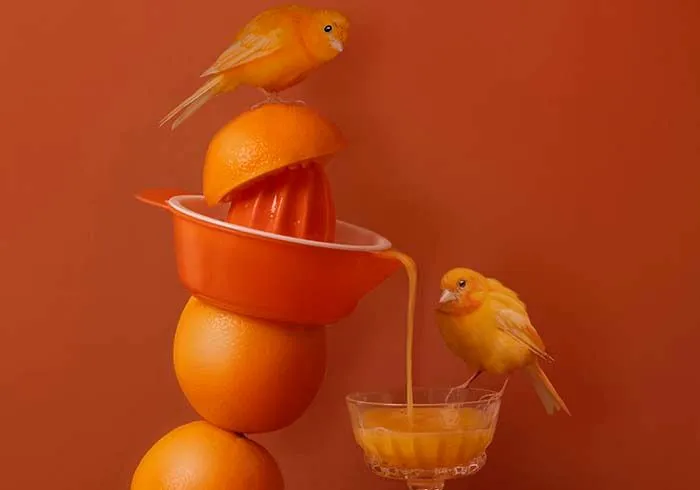 Orange-Juicy-optimized