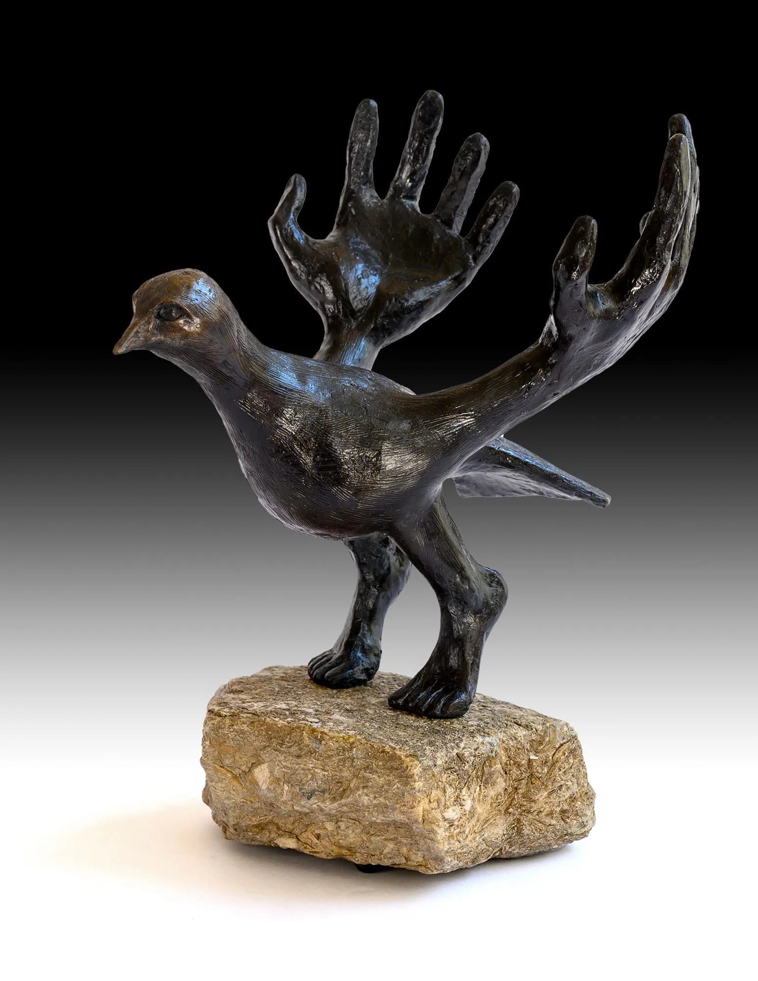 Paul Kroner_Bird 'n Hand