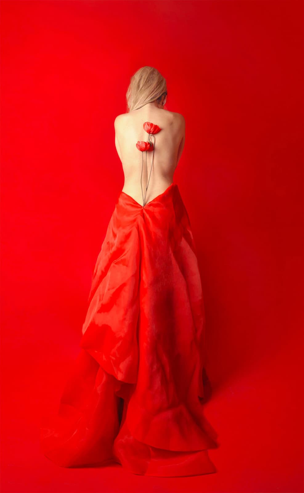 Maria Carmela Rizzuti - The Birth of Poppies